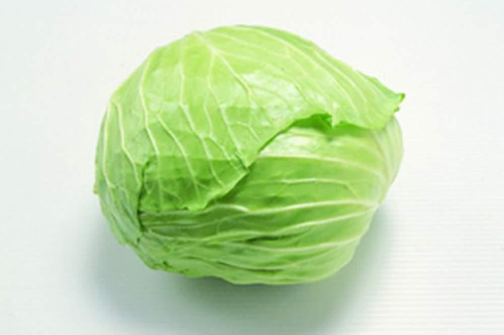 甘蓝