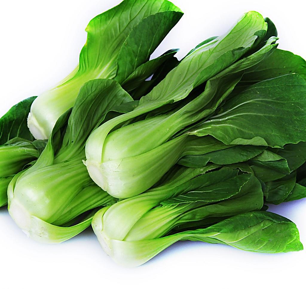 油菜