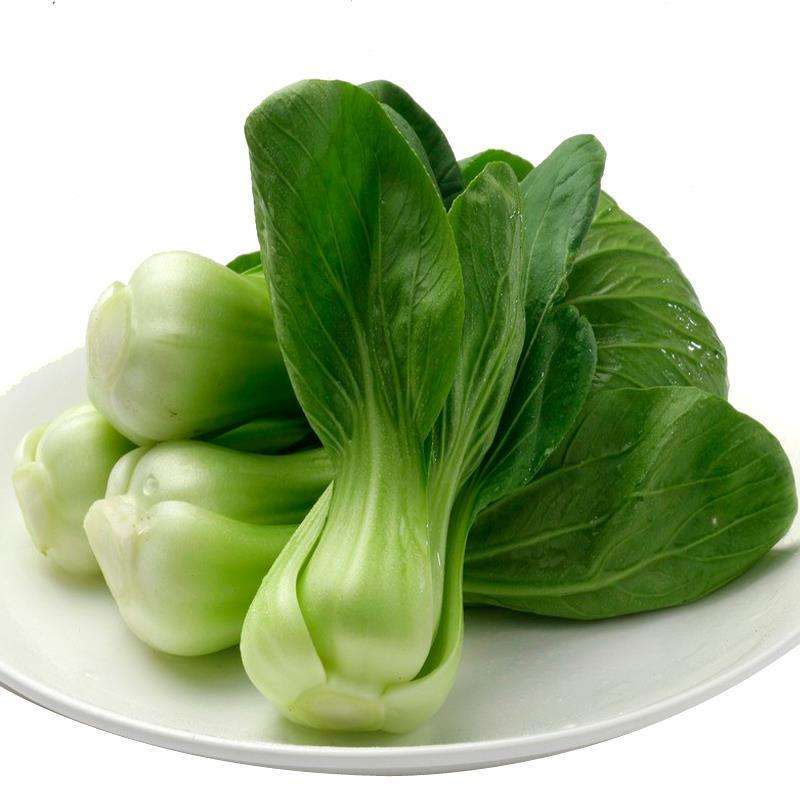 油菜